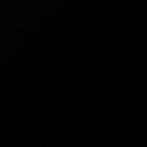 Meet your Posher, Demonty